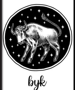 Znamení zvěrokruhu - Býk