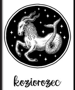 Znamení zvěrokruhu - Kozoroh