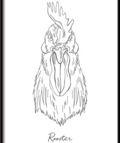 Kohout lineární plakát