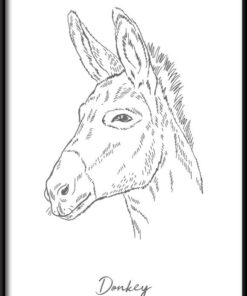 Osel lineární plakát