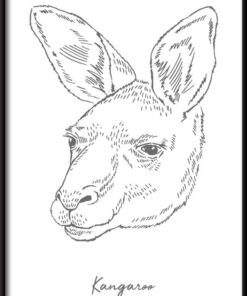 Lineární klokan plakát