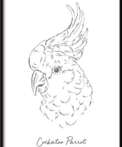 Papoušek lineární plakát