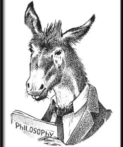 Plakát Filozof osel