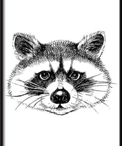 Plakát nakreslený mýval