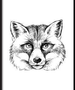 Plakát nakreslená liška