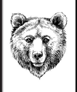 Plakát nakreslený medvěd