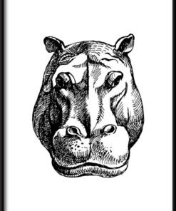 Kreslený Hippo Plakát