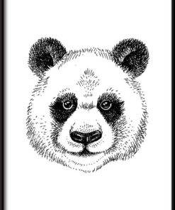 Kreslený plakát Panda