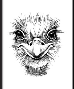 Plakát nakreslený pštrosem
