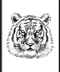 Kreslený plakát tygra