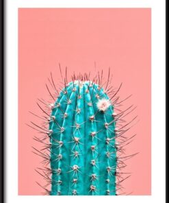 Zelený kaktus plakát