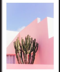 Kaktus na pozadí plakátu růží