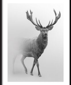 Plakát Jelen v mlze