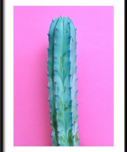 Plakát Kaktus Neon Nálada