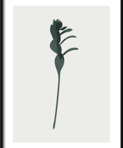 Tropický list ilustrace 3