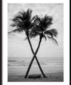 Palmy na plakátu na pláži