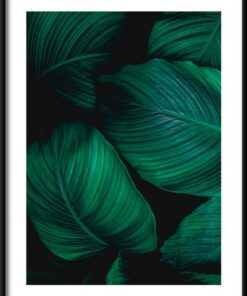 Tropické Listy Plakát 2