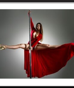 Pole dance plakát