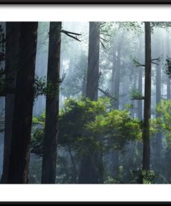 Mlhavé ráno v lese plakát