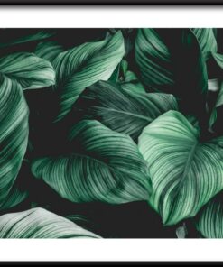 Tropické Listy Plakát 5