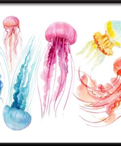 Plakát medúzy na bílém pozadí