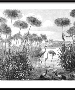 Retro Plakát Flamingo