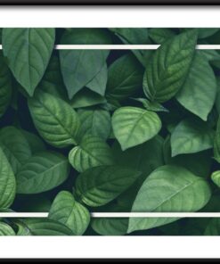 Plakát Zelených Listů V Rámu