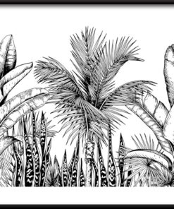 Černobílý plakát džungle