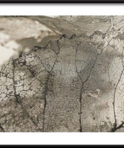 Průhledné listy vzor plakát