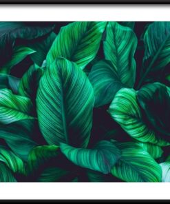 Tropické listy plakát 4