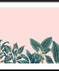 Tropické rostliny 2