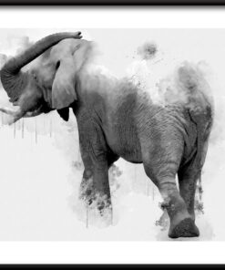 Krásný malovaný plakát slona