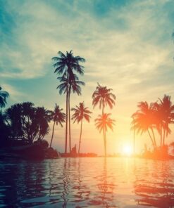 Fototapeta Pláž s palmami