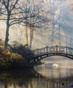 Fototapeta Misty Landscape