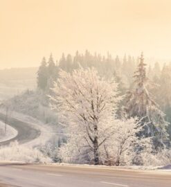 Fototapeta Zimní krajina