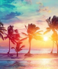 Fototapeta Palmy při západu slunce