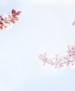 Nálepka na zeď růžové květy 2