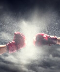 Fototapeta Boxerské rukavice 2