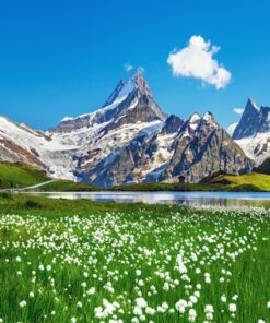 Fototapeta Letní krajina