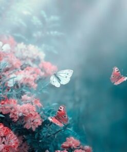 Fototapeta Pohádkové jaro