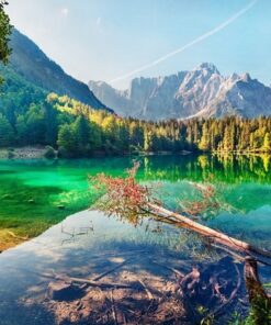 Fototapeta Letní pohled 3