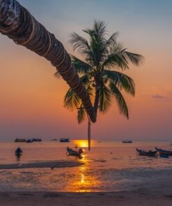 Fototapeta Západ slunce 6