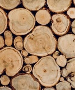 Fototapeta Dřevěné piloty