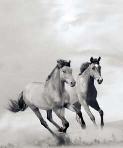 Fototapeta Běžící koně 4