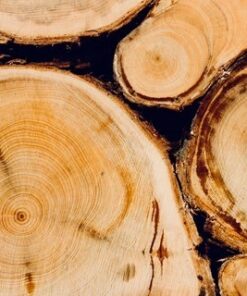 Fototapeta Dřevěné hromady