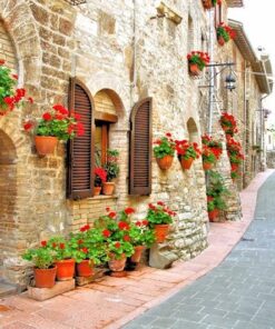 Fototapeta Ulička s květinami