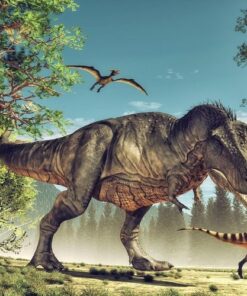 Fototapeta Dinosauři 8