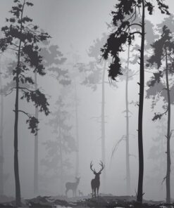 Fototapeta Dark Forest