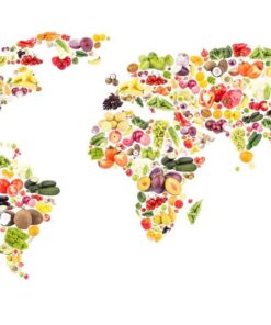 Fototapeta Mapa světa 19