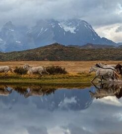 Fototapeta Chile krajina
